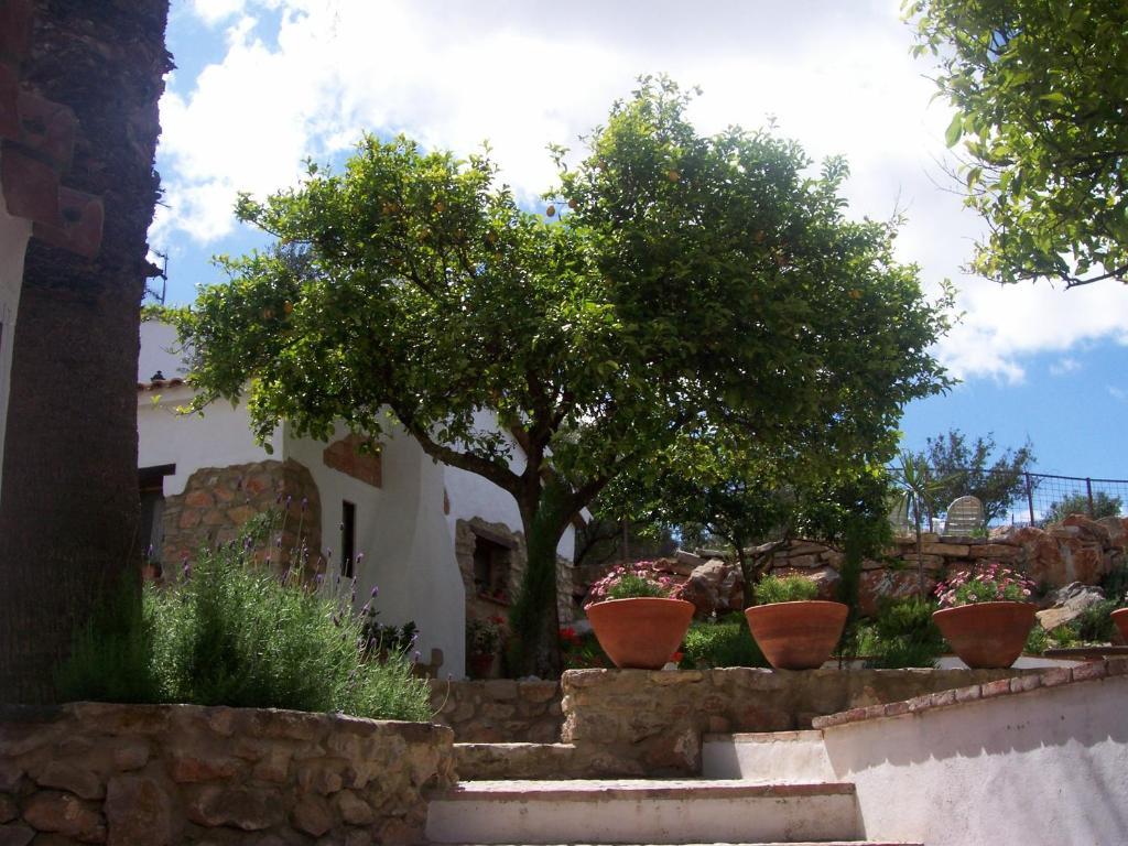 Casa De Abajo Prado Del Rey Exterior foto