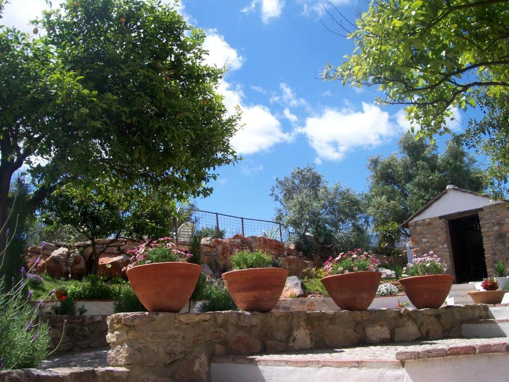 Casa De Abajo Prado Del Rey Exterior foto